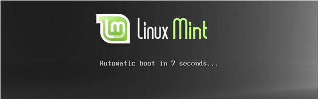 auto loading linux mint