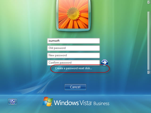Click Create a password reset disk
